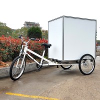 Ester Heavy Load Electric Assisted Cargo Trike